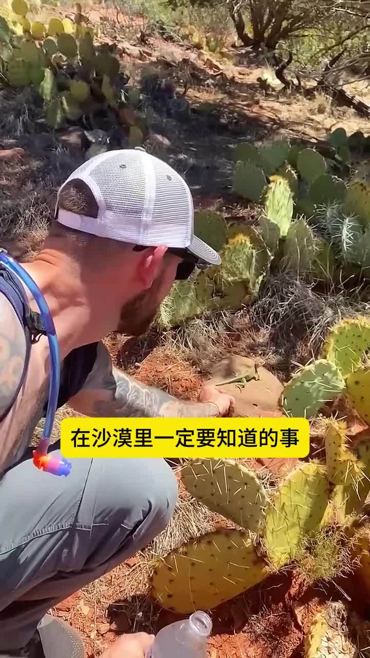 在沙漠里一定要知道的事这种水不能乱喝