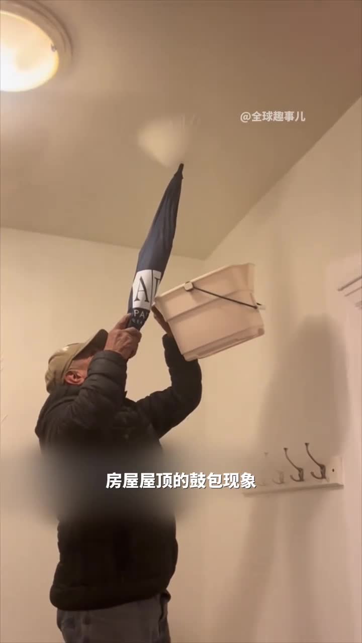 为什么在雨后的草坪上会出现奇怪的鼓包