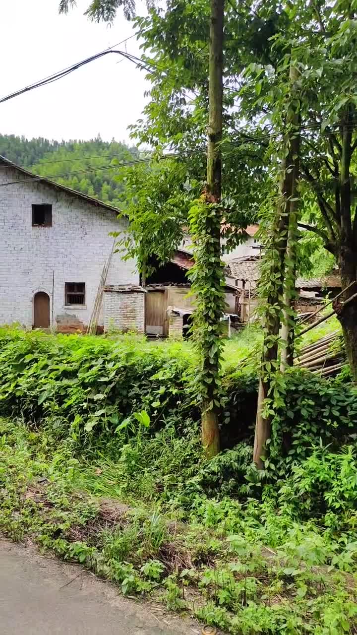 当你重归故里你会发现自己一直思念的不故乡而是那回不去的童年愿你出走半生归来仍是少年