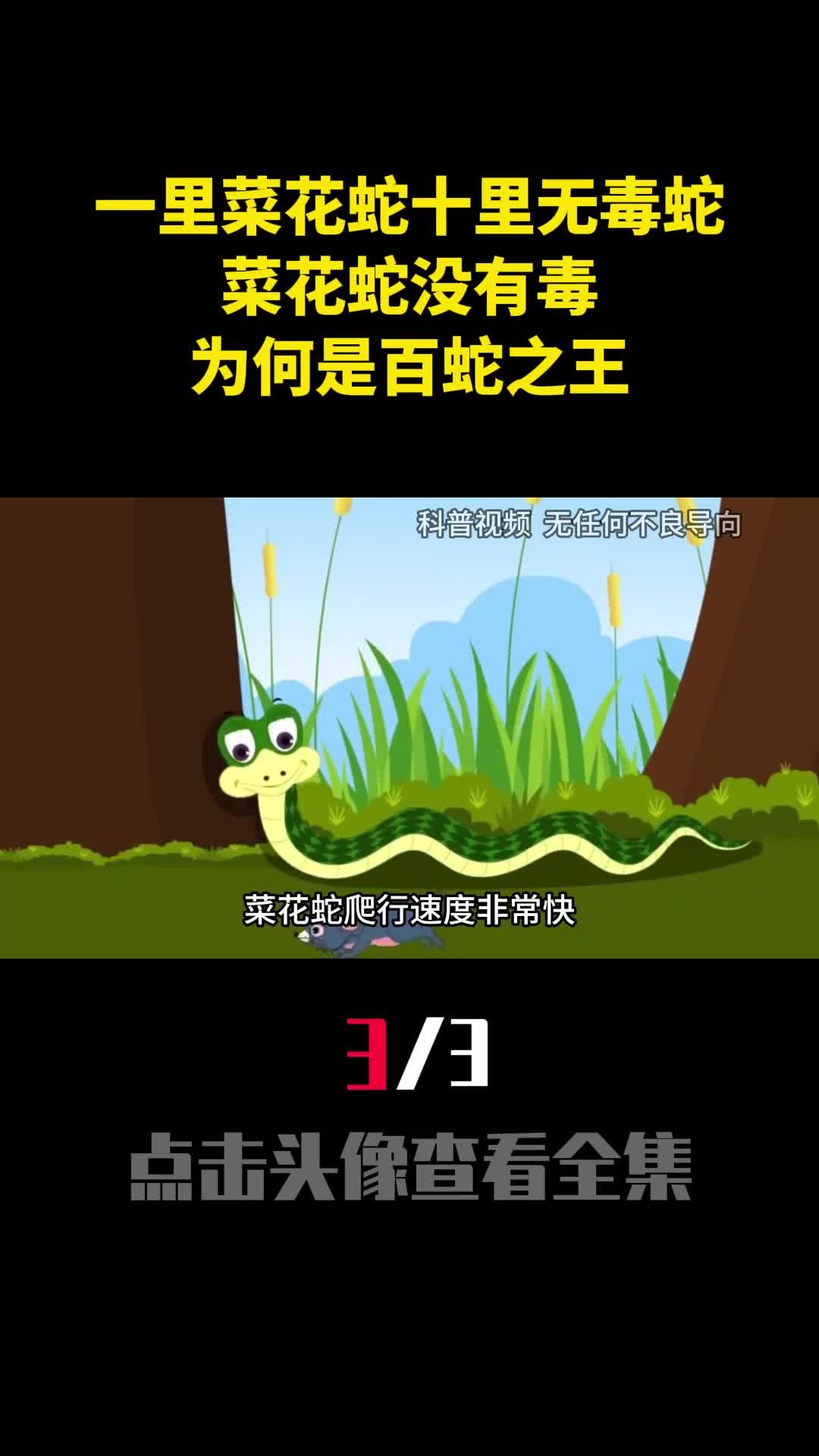 一里菜花蛇十里无毒蛇菜花蛇没有毒为何是百蛇之王3