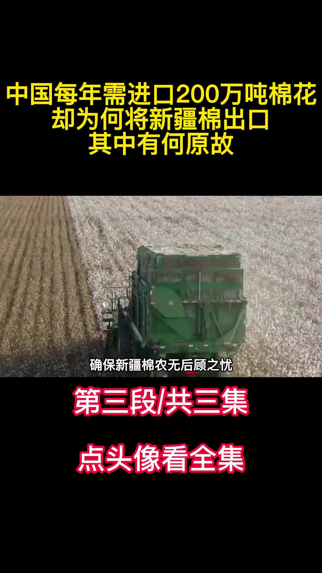 中国每年需进口200万吨棉花却为何将新疆棉出口其中有何原故3