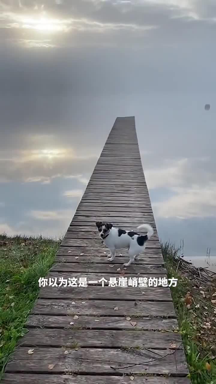 令人惊叹的反射现象仿佛湖面就是一面巨大的镜子