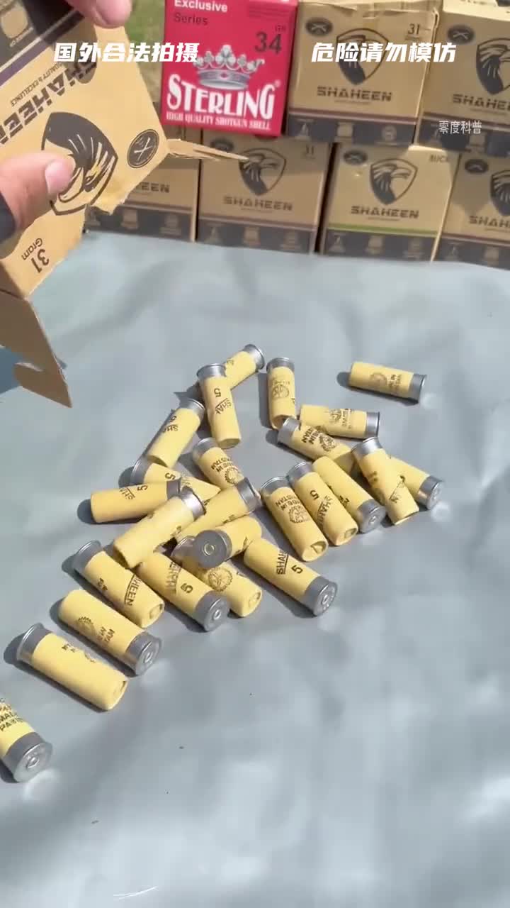 不同种类的霰弹里面都是装的什么