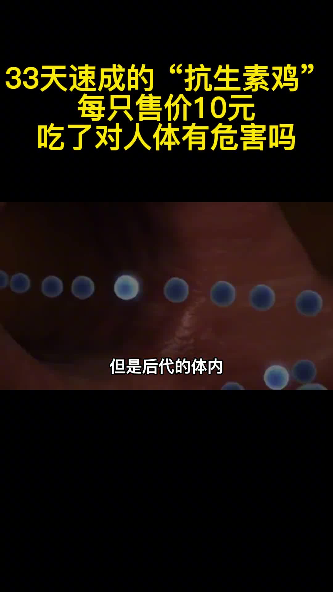 33天速成的抗生素鸡每只售价10元吃了对人体有危害吗3