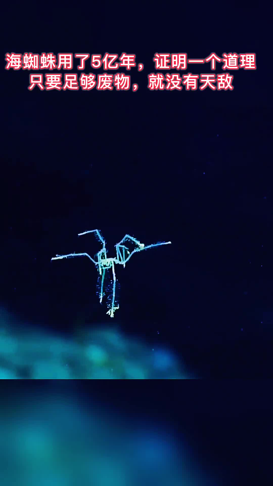 第103集你想像它一样没有任何敌人吗