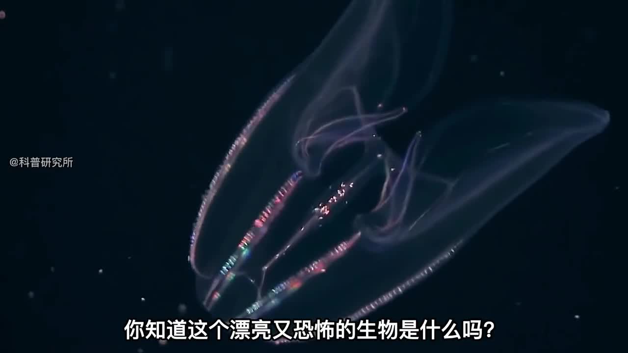 世界上最奇怪的鱼最后一个不像是地球生物三