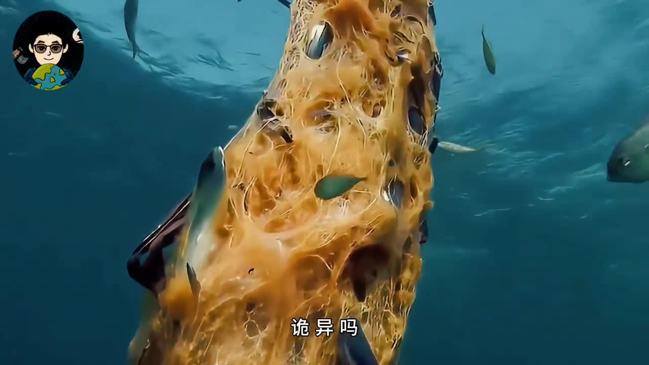无数飞鱼葬身在海洋中的诡异黄色圆柱体内