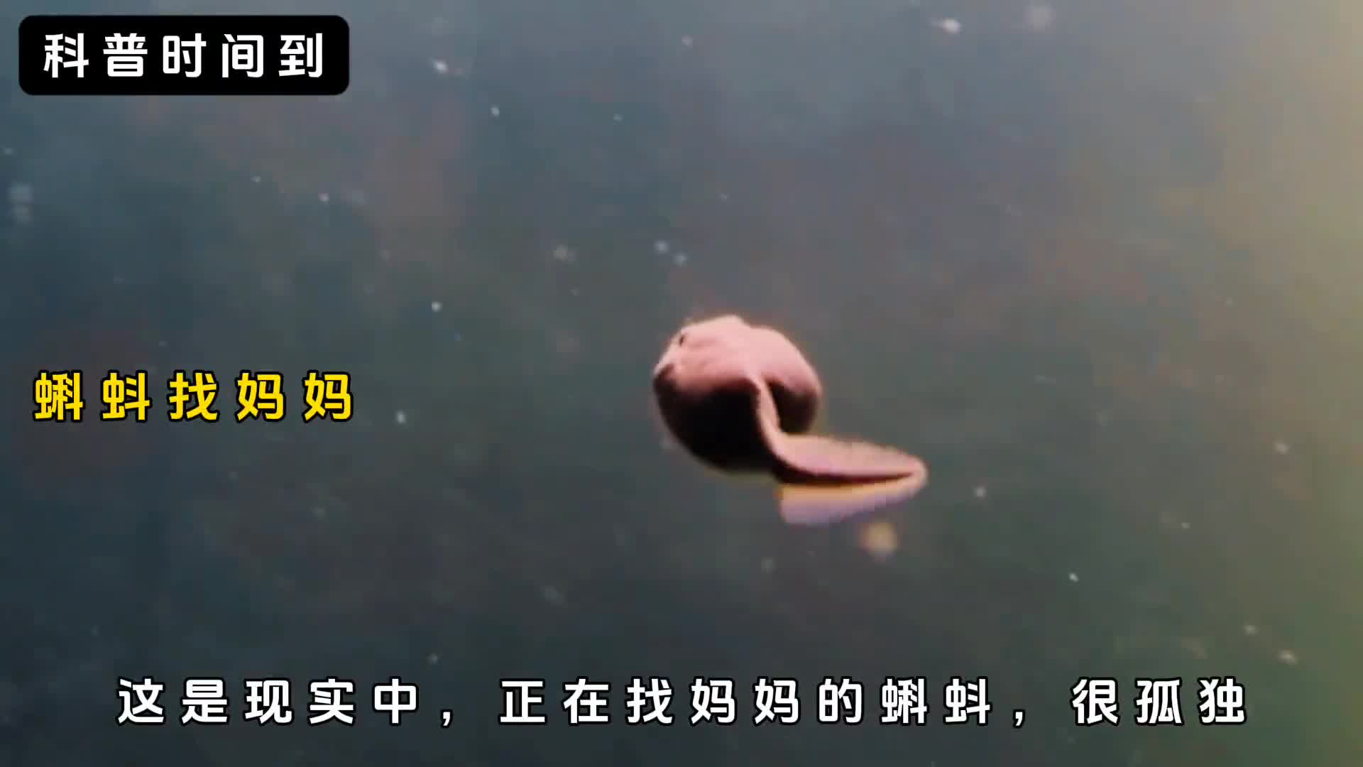 微观世界下一切看似不可能的都成为可能