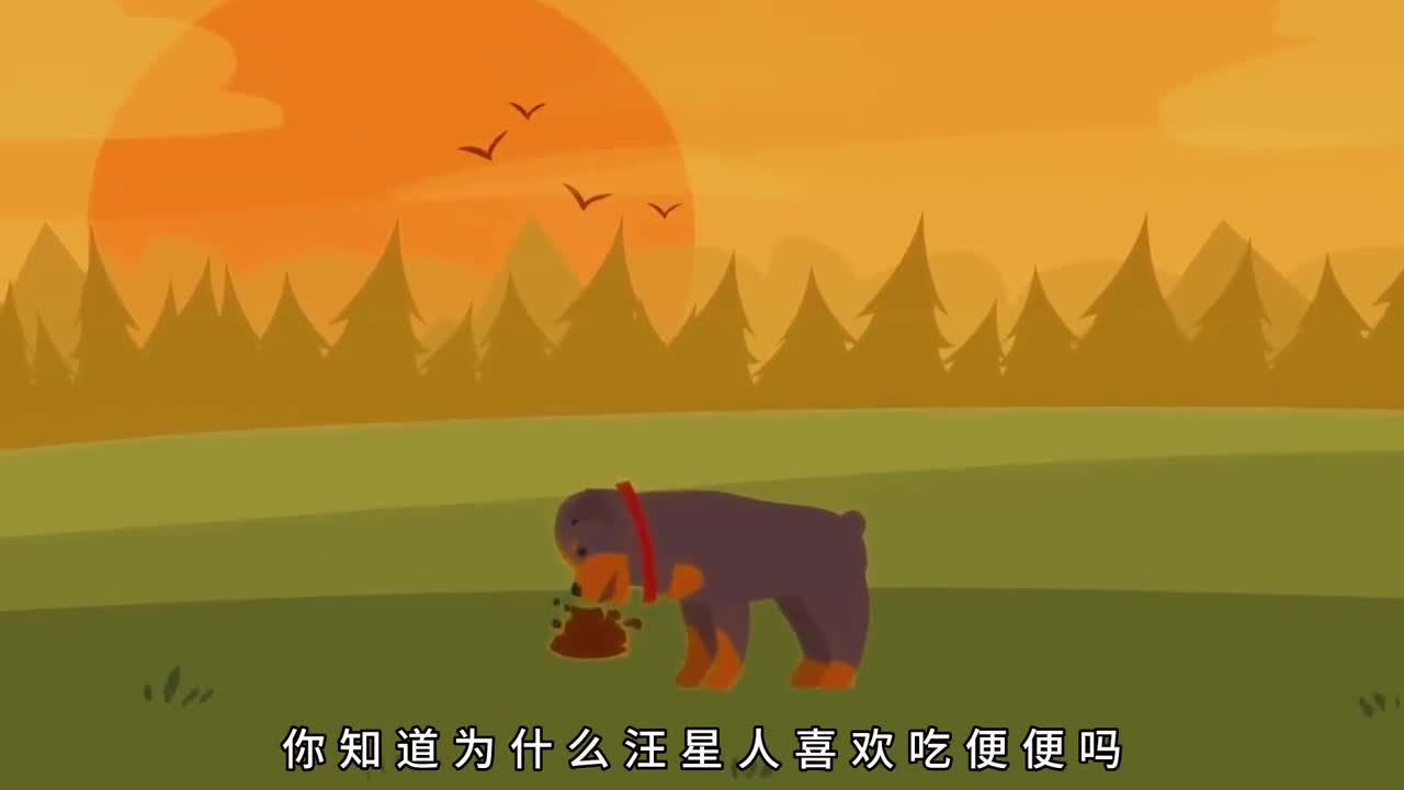 为什么汪星人喜欢吃便便狗狗真的改不掉这个喜好吗