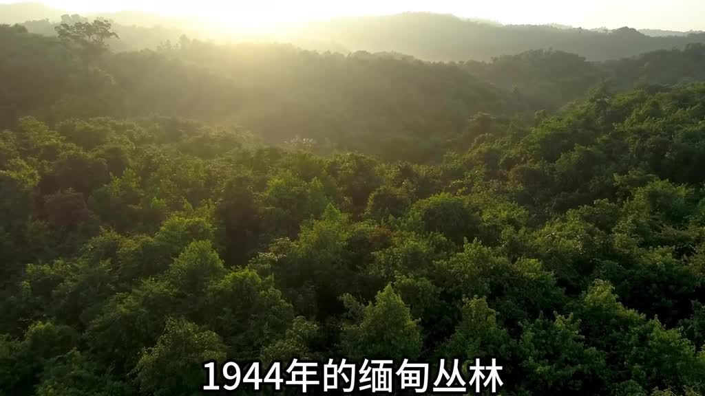 1944年让日本士兵吃草的司令