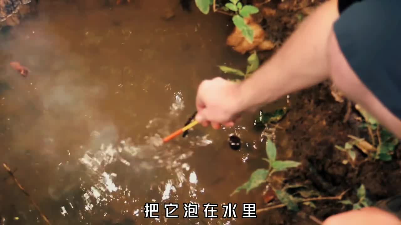 防水防风的火柴究竟有多可怕即使在滂沱大雨中仍可以点燃