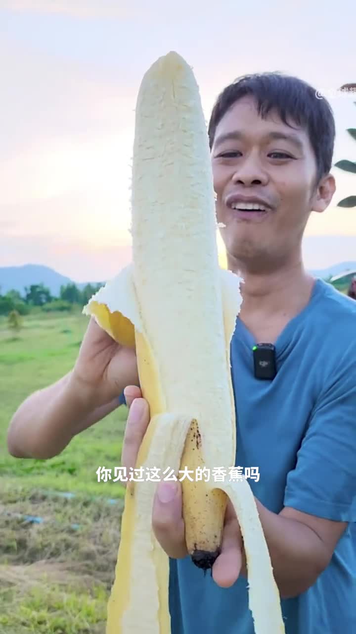 你见过这么大的香蕉吗犀牛角蕉还被称为香蕉界巨无霸
