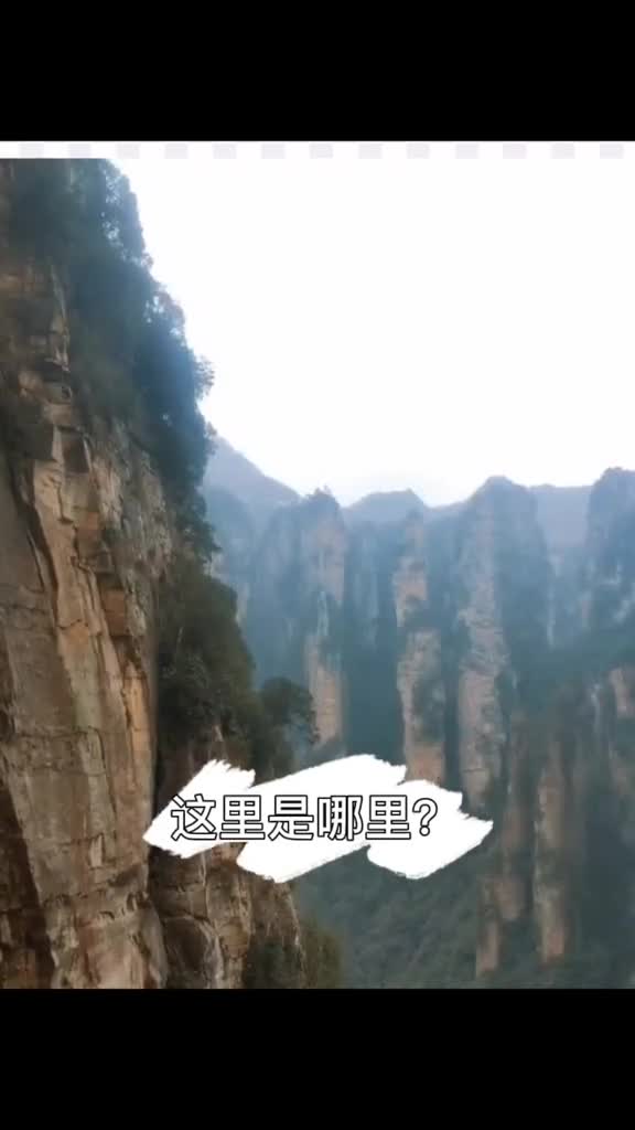 空气里是幸福的味道国家森里公园猜猜