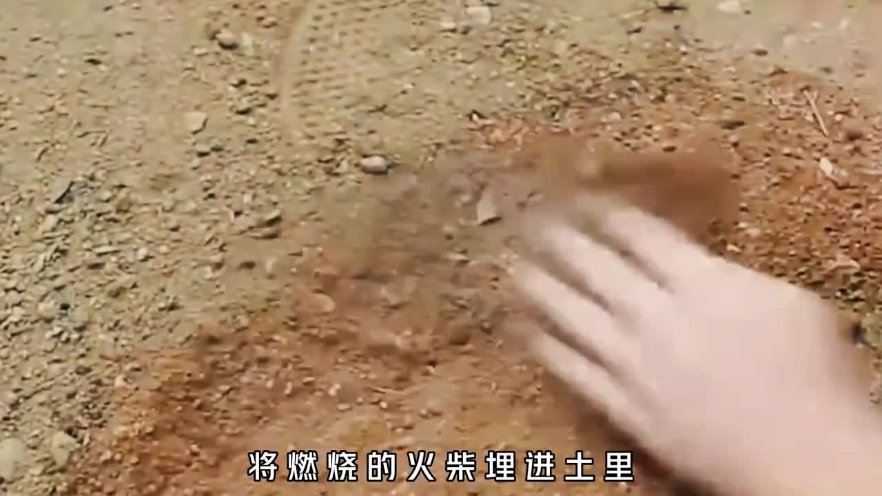 世界最强火柴究竟有多可怕用脚踩用水泡大风吹都不会熄灭