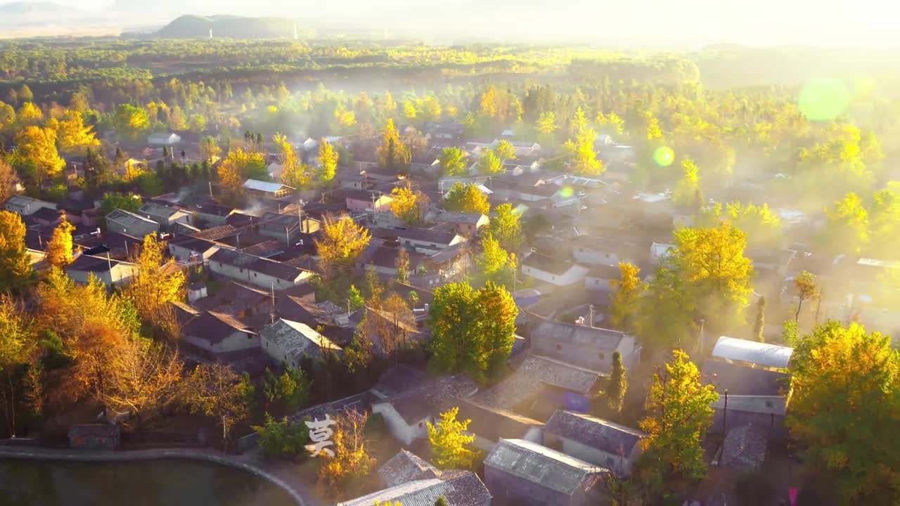 保山别称兰城是全国著名的滇西粮仓时至冬日幸事落叶与风相逢腾冲的银杏黄了来源保山文旅