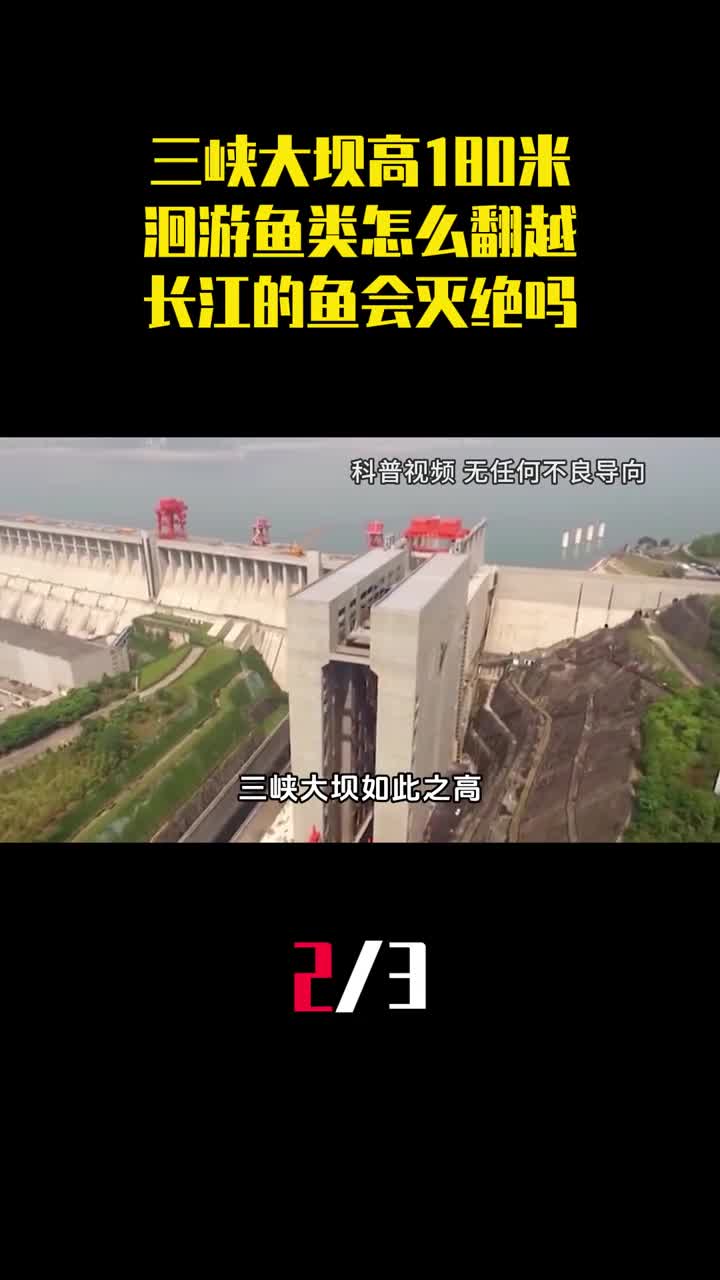 三峡大坝高180米洄游鱼类怎么翻越长江的鱼会灭绝吗2