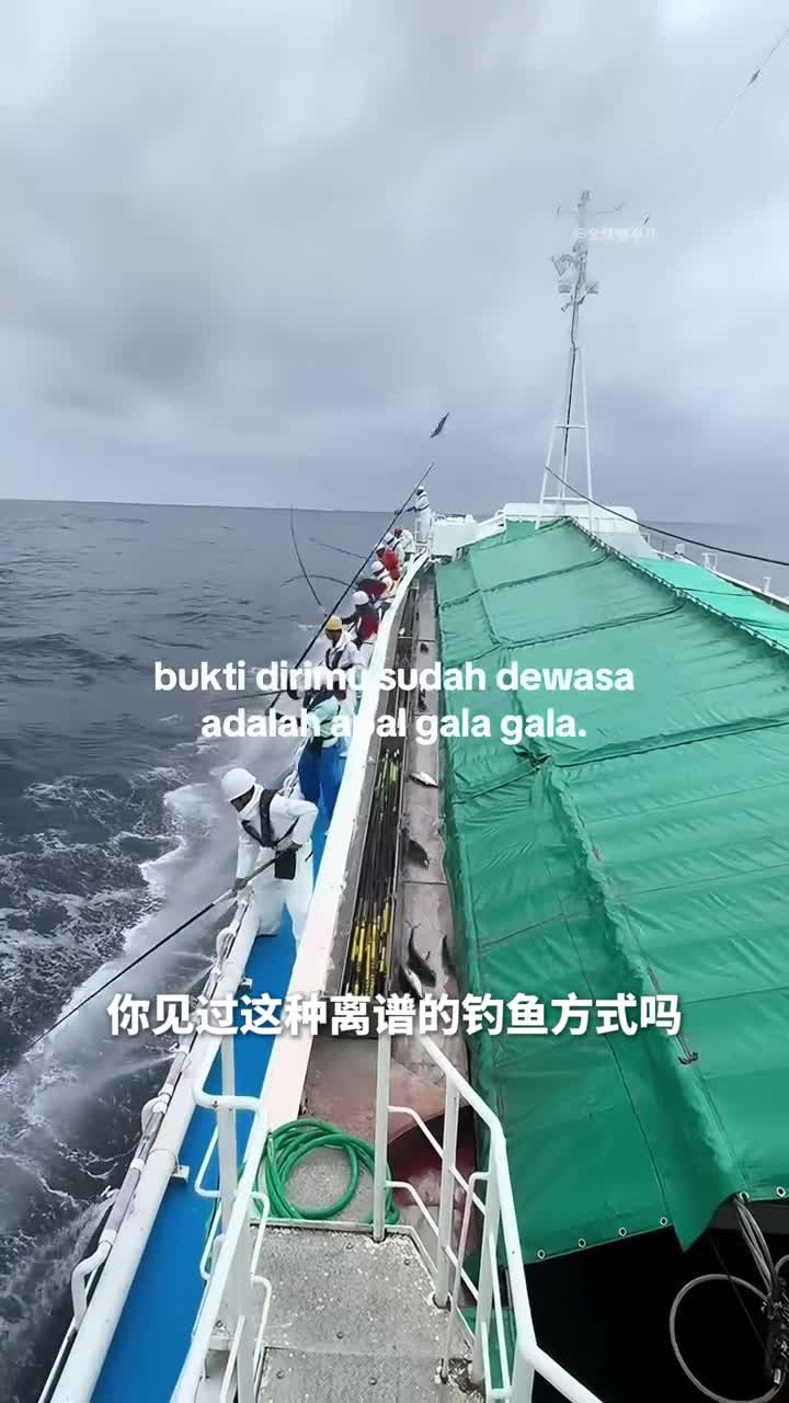 海上钓金枪鱼有玄学为什么渔民甩一下鱼竿金枪鱼就自己上钩