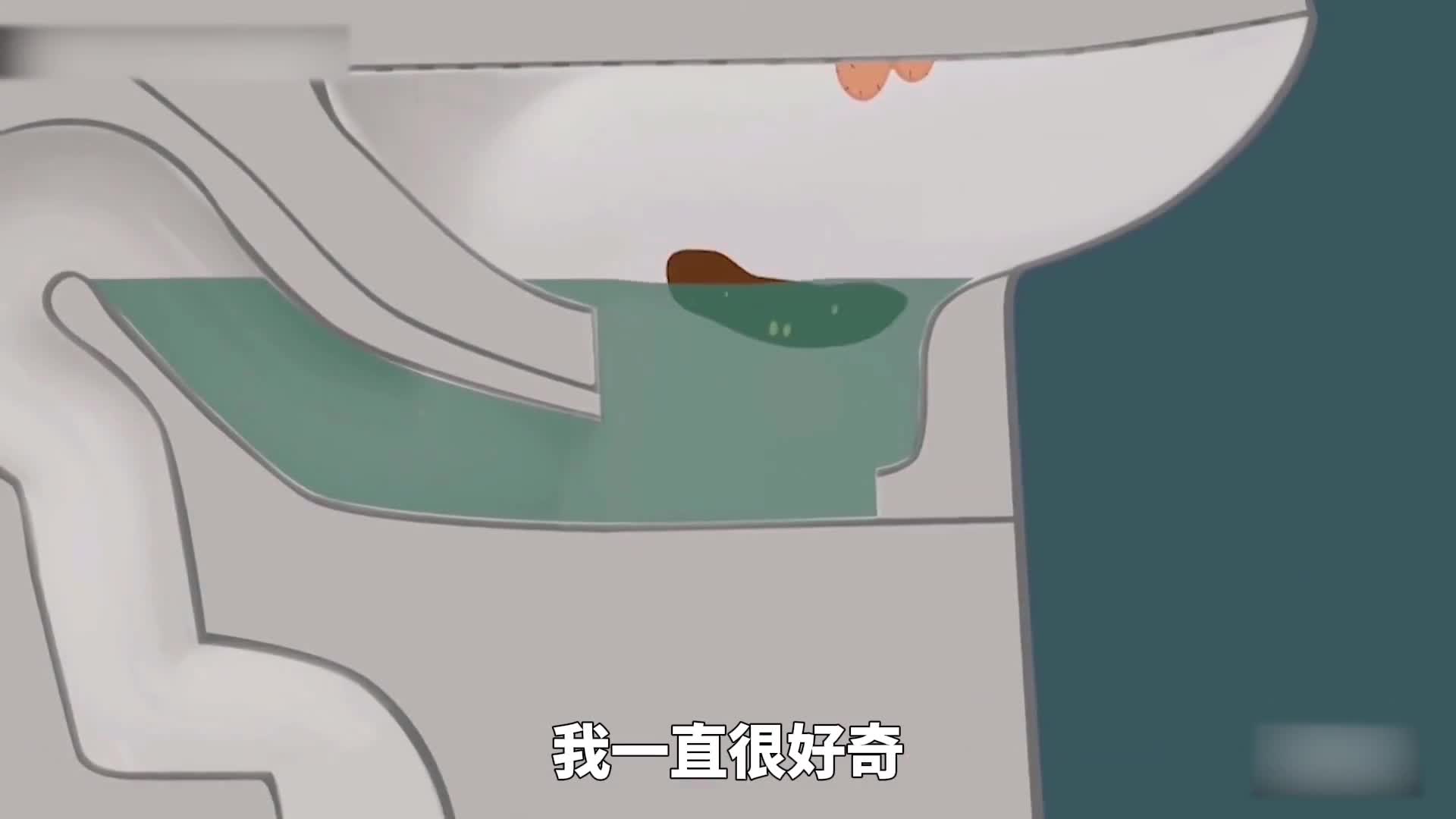 我很好奇拉出的粑粑去哪了没想到竟然是如此浩大的工程城市排污系统的全面讲解