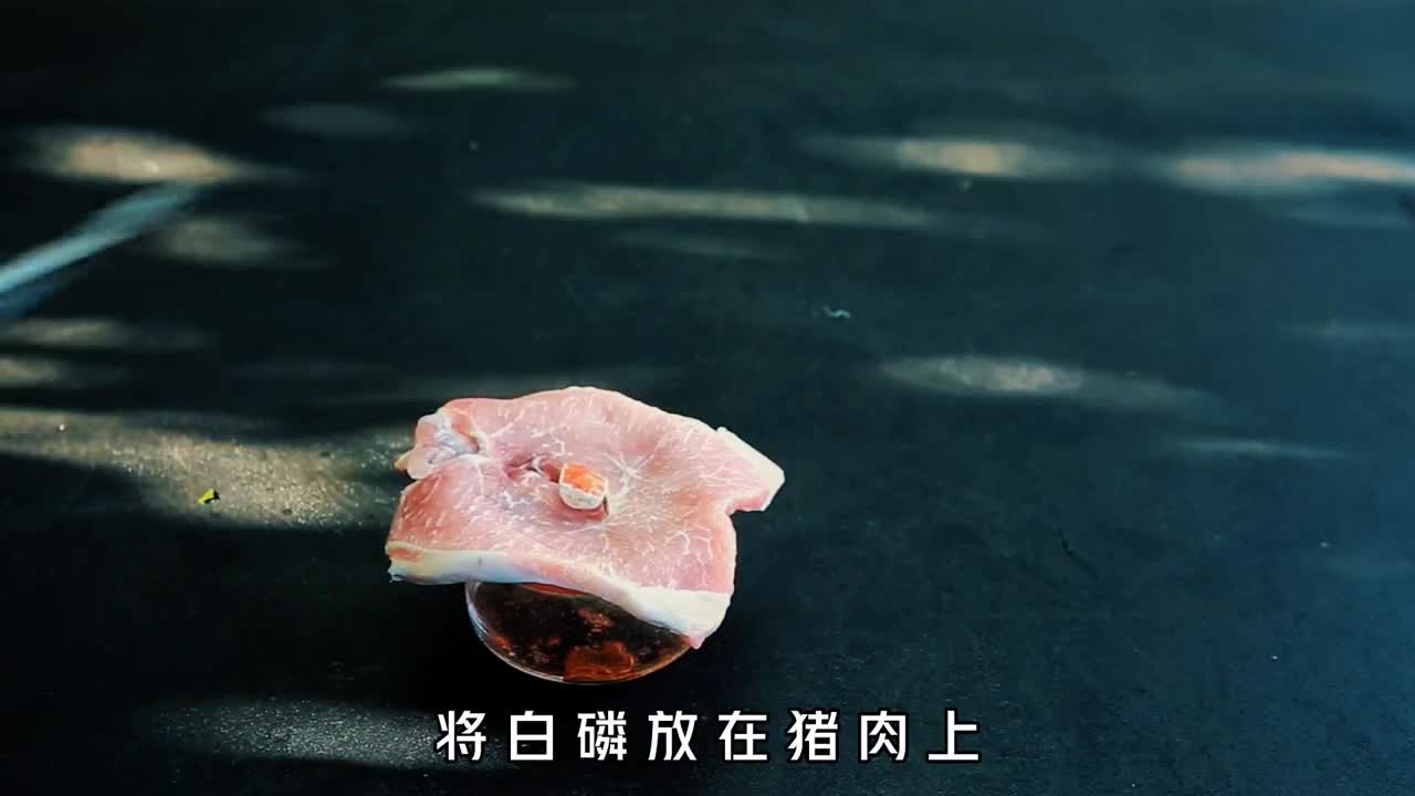 白磷究竟有多可怕将其放在猪肉上白磷自燃猪肉瞬间被烤熟