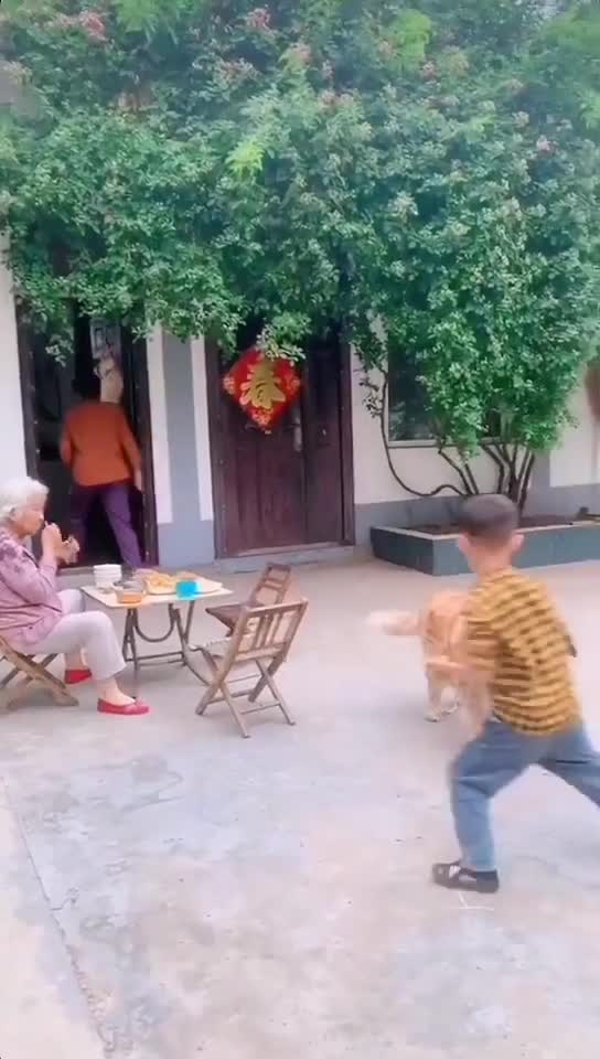 在浮躁的时候你是不是也希望有一处这样的院子一家人围在一起吃饭一只老狗一院子花