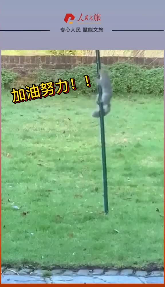 人生不就是这样起起落落落落落落落落落