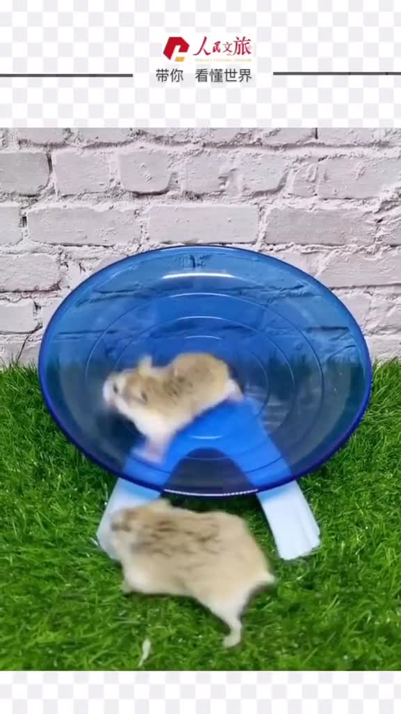 那些不好的经历感受滚走吧