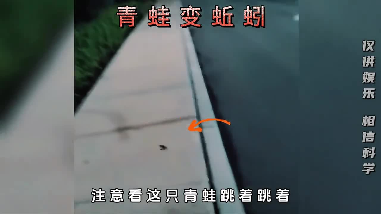 青蛙瞬间变蚯蚓小鹿回头变成双头鹿为何会有如此奇异现象