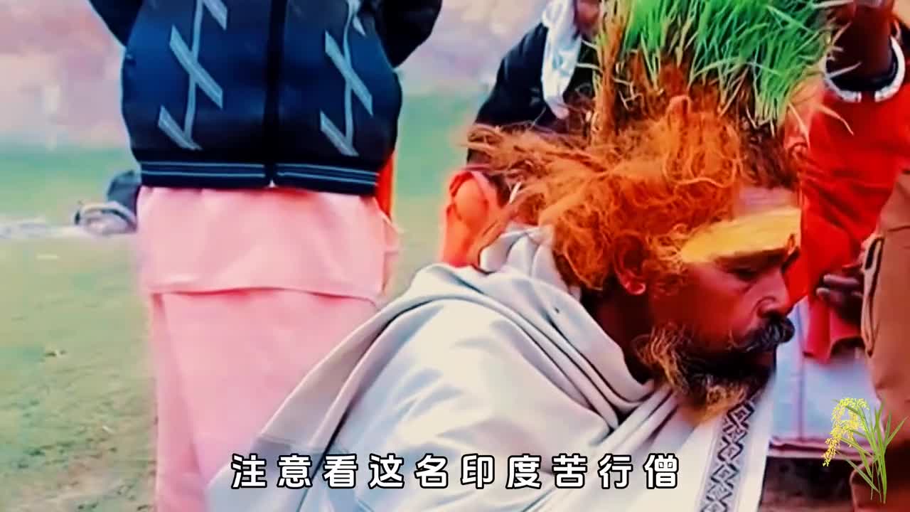 印度苦行僧又出奇葩操作在头上种水稻竟还有人愿意高价购买