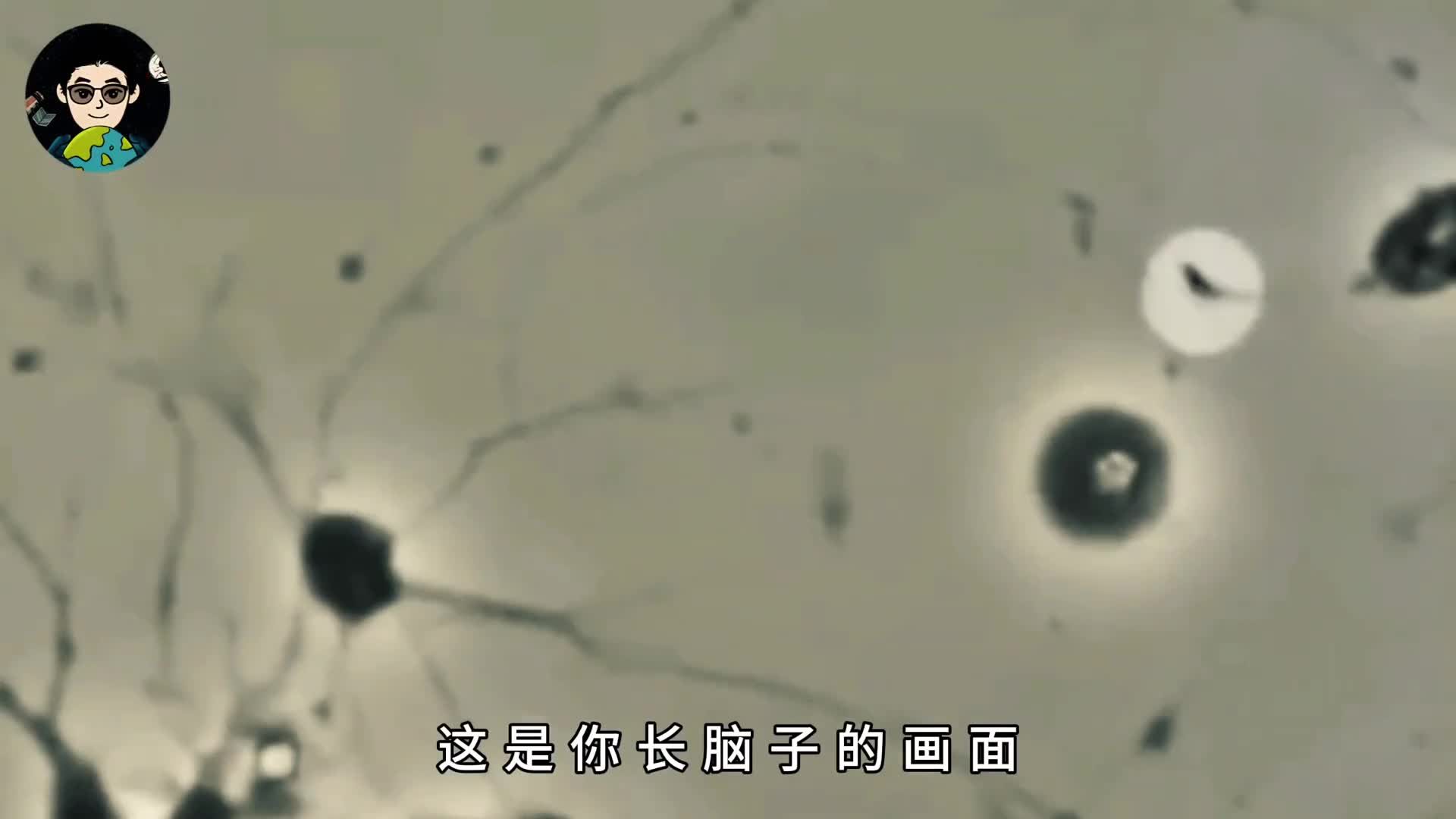 这才是你长脑子的真实画面