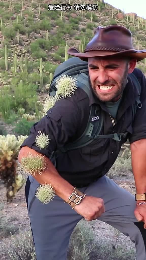 千万别用手拔仙人掌不然