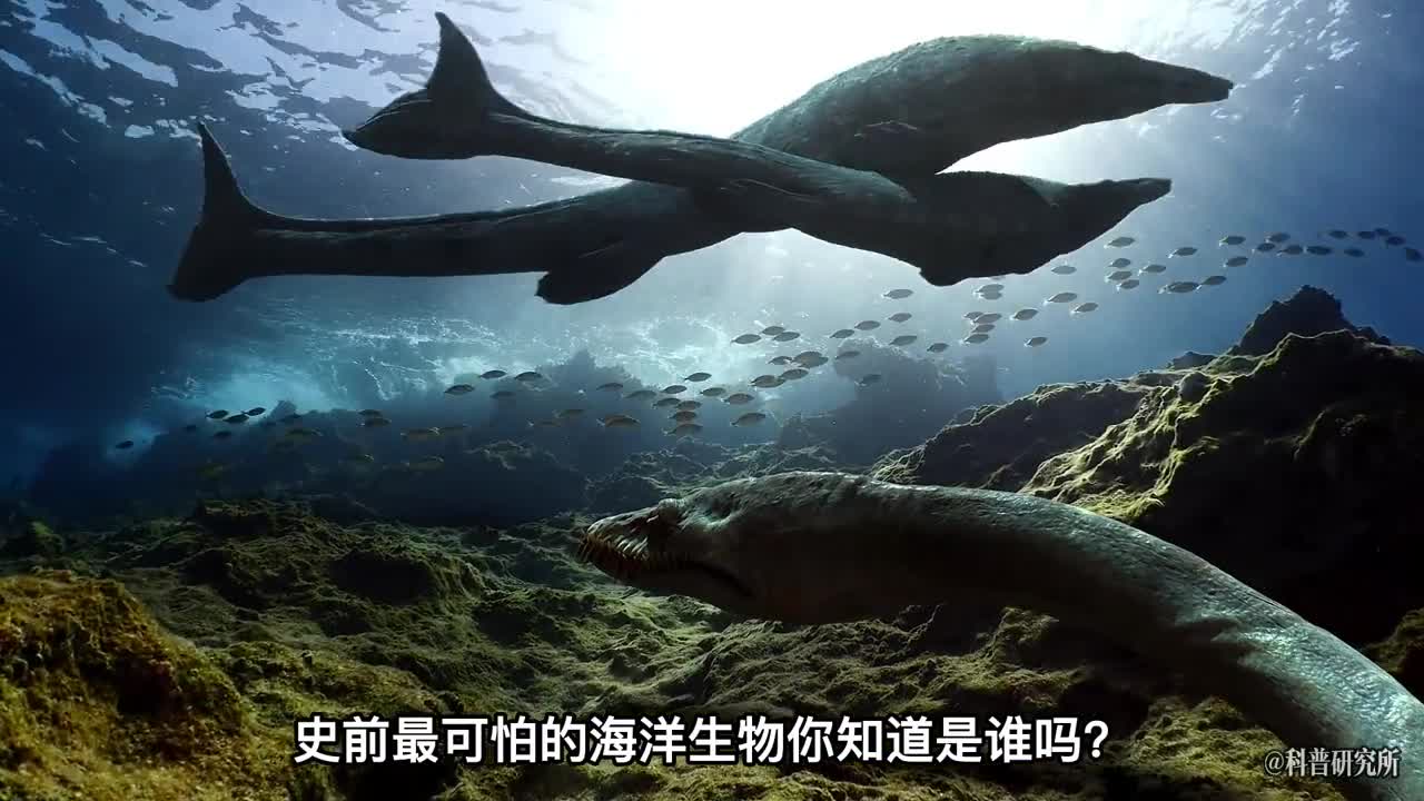 恐龙时期的可怕深海怪物你认识几个二
