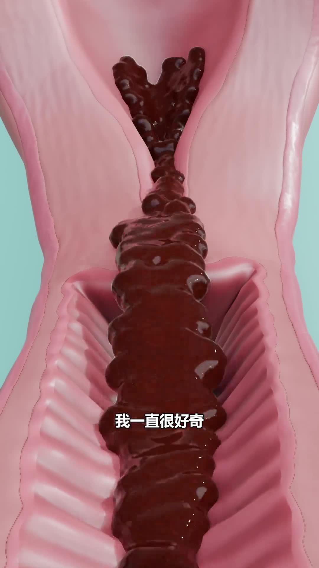 月经是怎么形成的