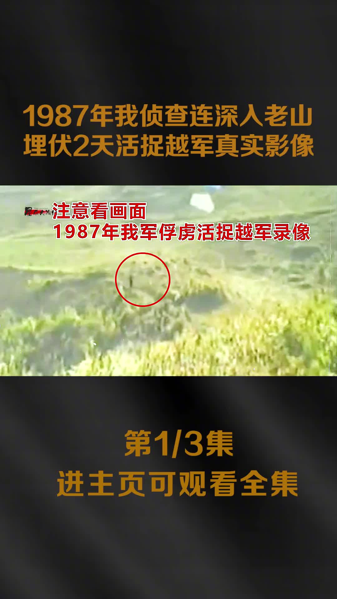 1987年我军侦察连活捉越军影像深入敌军腹地埋伏2天越军腿吓软