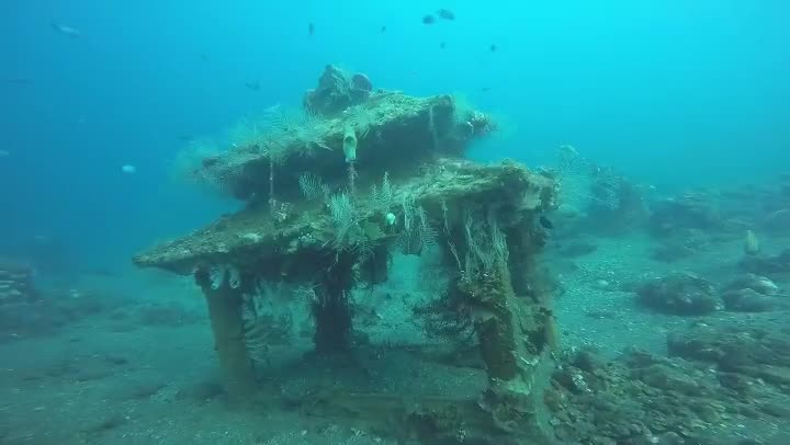 巴厘岛还可以看海底寺庙