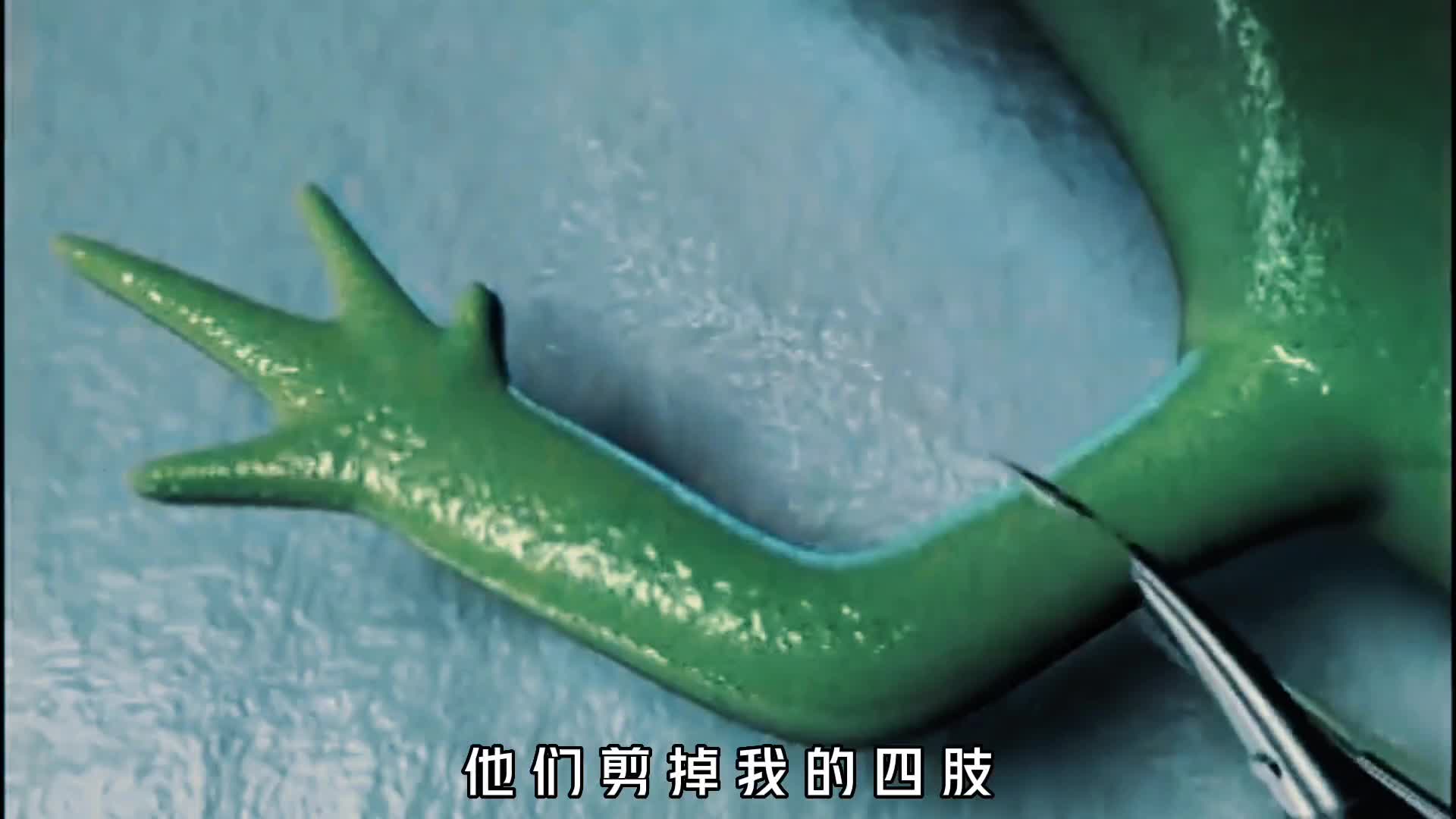 弄懂蝾螈断肢重生的原因人类就真的可以永生吗