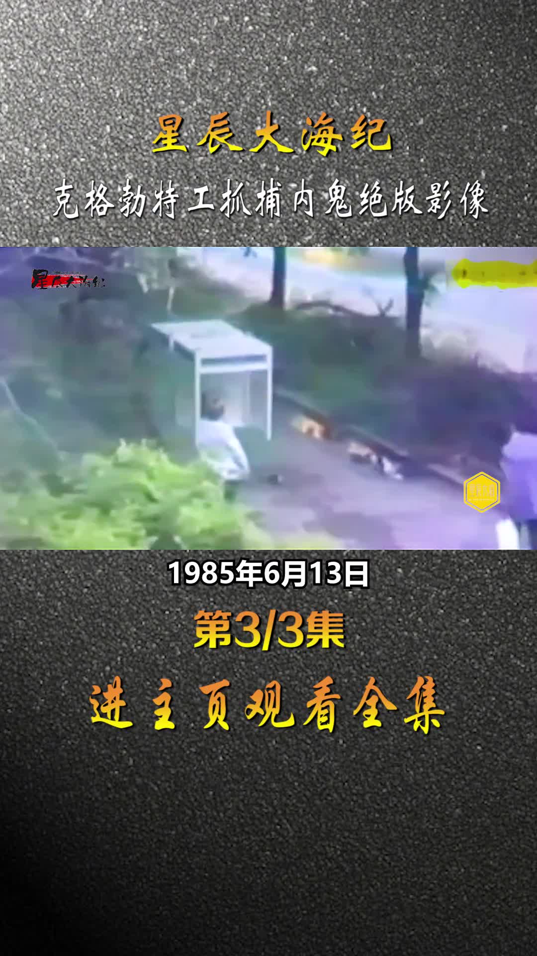 1985年克格勃特工抓捕内鬼绝版影像