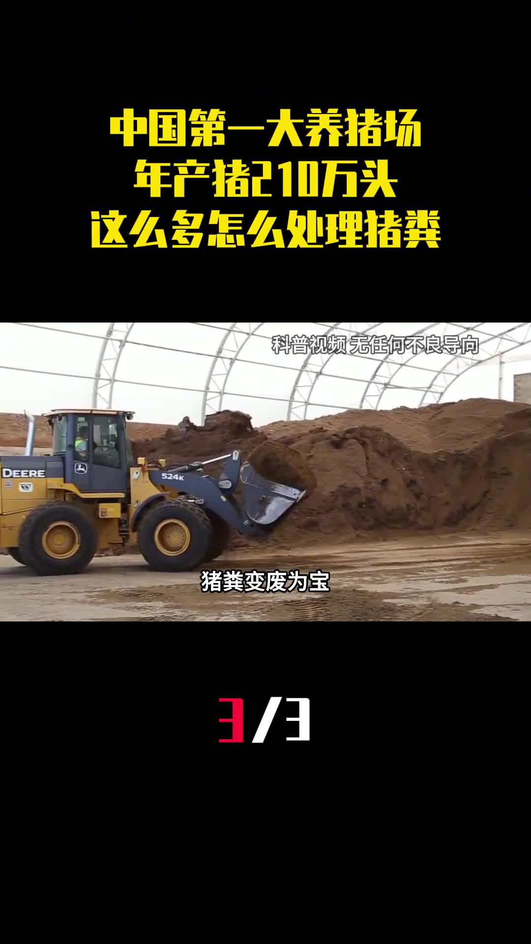 中国第一大养猪场年产猪210万头这么多猪怎么处理猪粪3