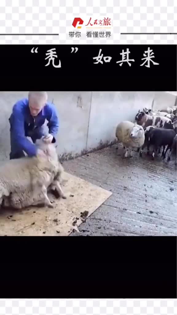 当你跟理发师说只想修下