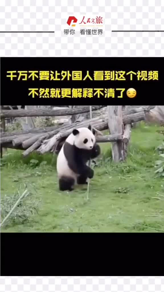 你是武林盟主你说了算一言不合就开打