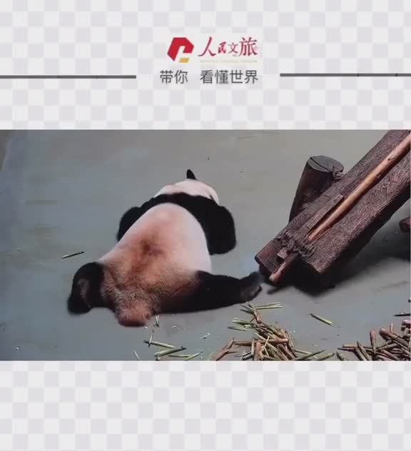 趴久了腿麻了要换个姿势