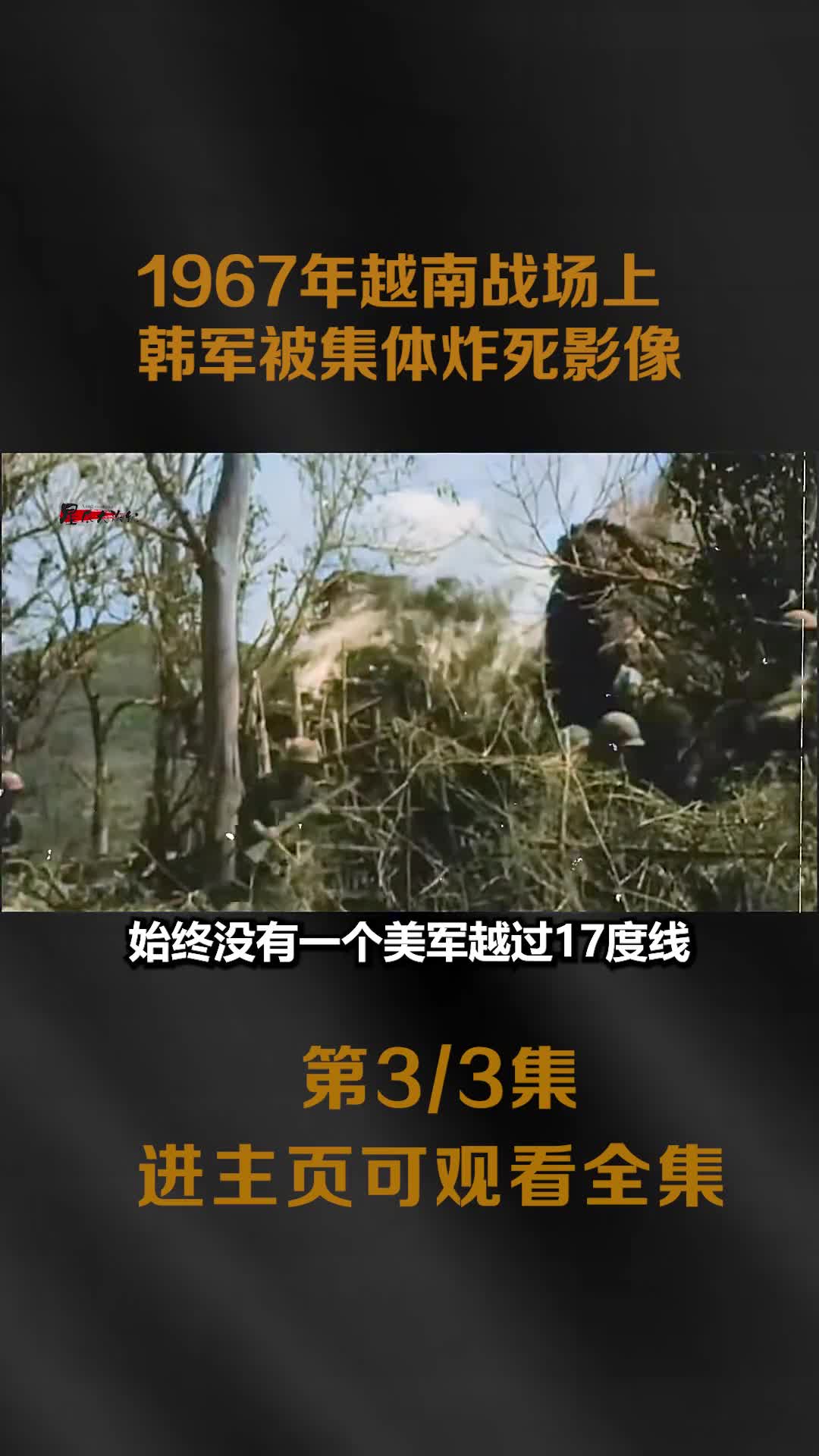 1967年韩军在越南被集体炸死真实影像美军投掷橙剂15万韩军受害