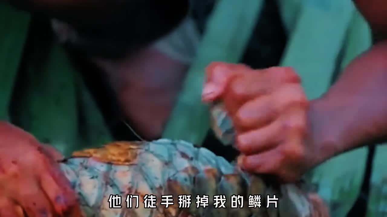 穿山甲妈妈蜷缩身体保护孩子那些吃它们的人怎么下得去口