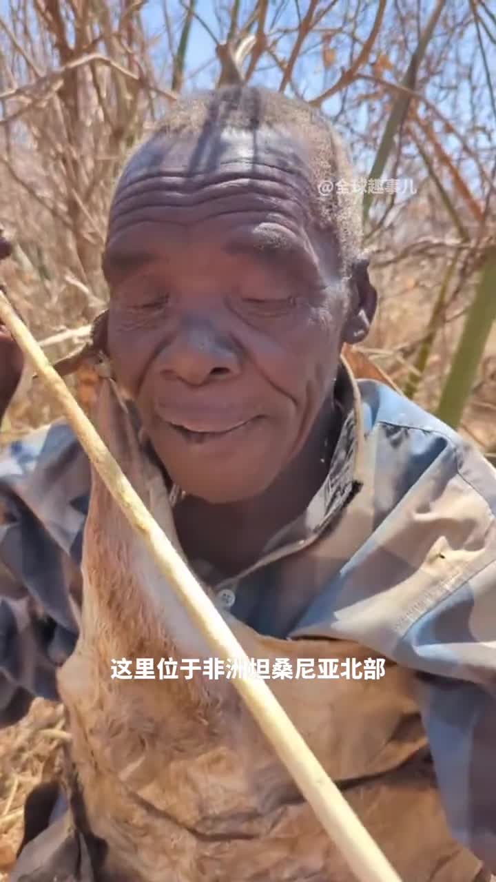 非洲哈扎比部落用古老弓箭和毒素捕猎狗也来帮忙