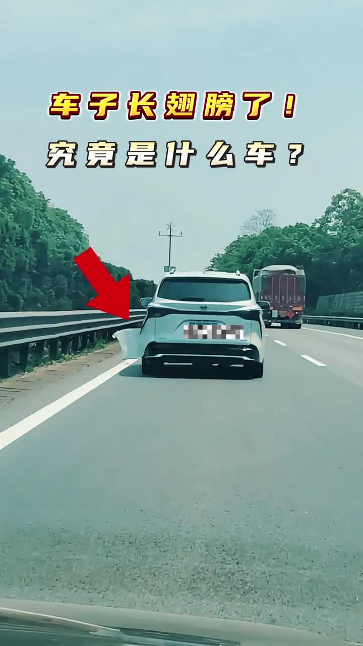 车子长翅膀了这是著名网红小酸奶口中的神车吗