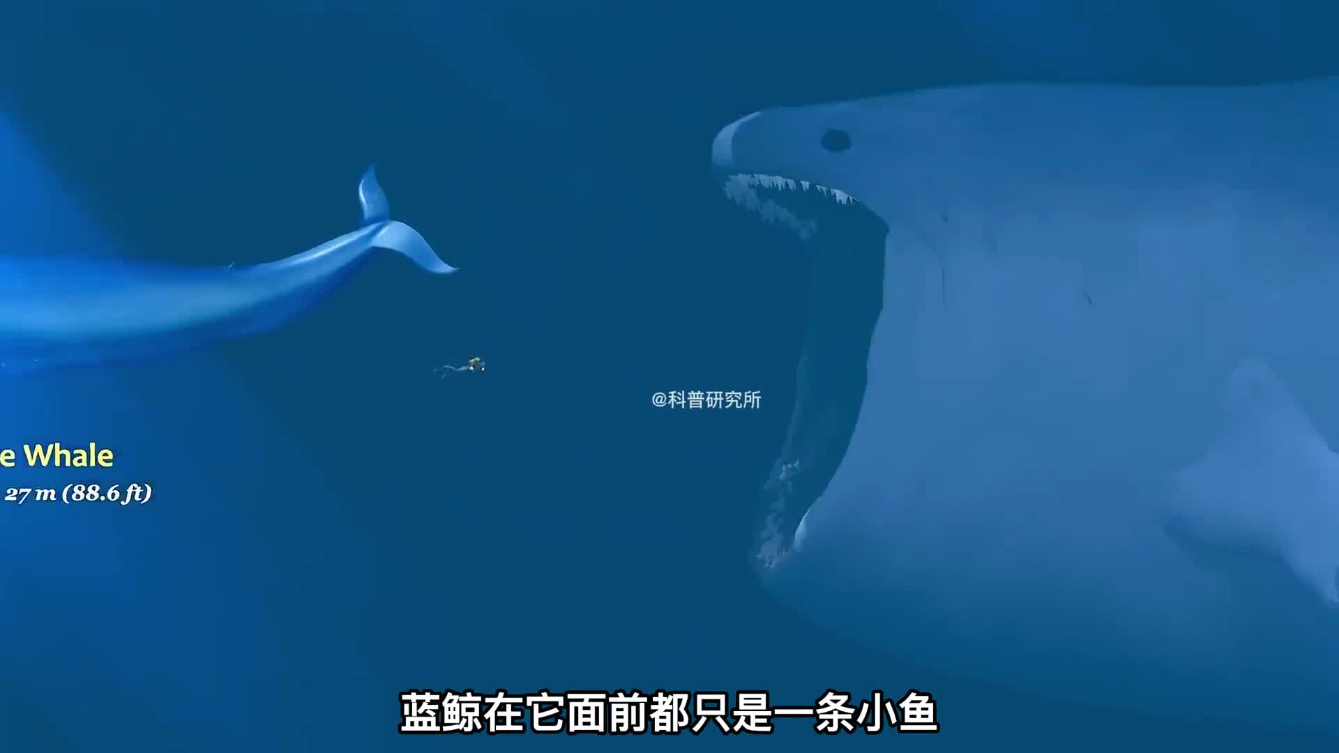 有巨物恐惧症的别看史前海洋生物体型大对比最后的太巨大了三