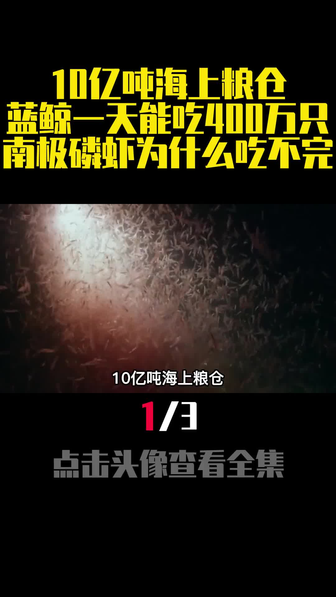 10亿吨海上粮仓蓝鲸一天能吃400万只南极磷虾为什么吃不完1