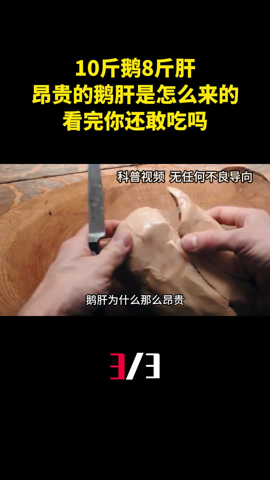 10斤鹅8斤肝昂贵的鹅肝是怎么来的看完你还敢吃吗3