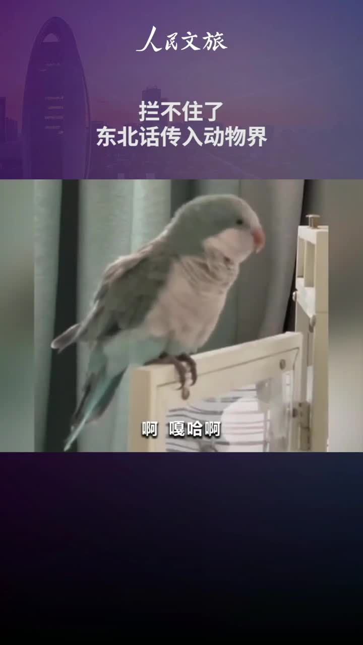 动物间也在搞内卷