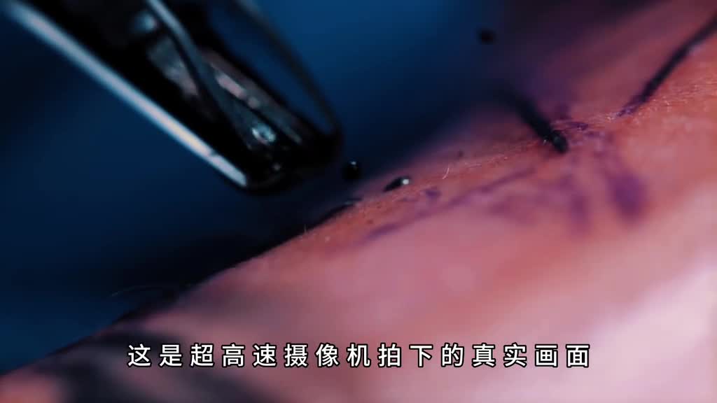 为什么纹身永不掉色看完你还敢纹吗