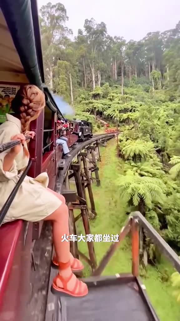 迷你蒸汽火车的独特魅力享受火车文化的奇妙之旅